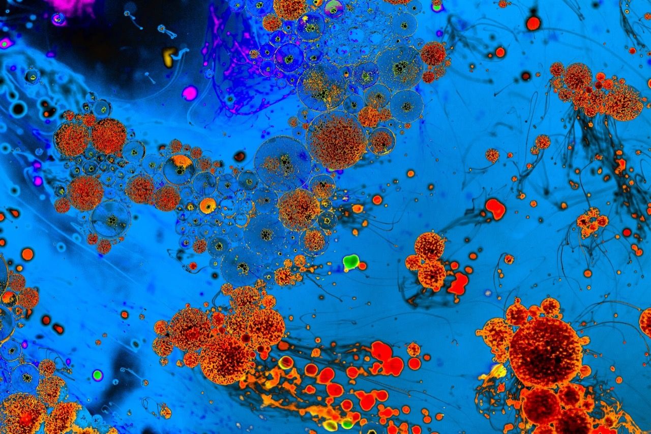 AAU Universities