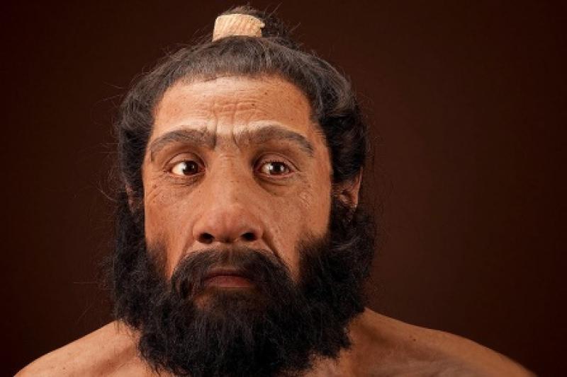 "Gene variations for immune and metabolic conditions have persisted in humans for more than 700,000 years; Homo neanderthalensis adult male. Reconstruction based on Shanidar 1 by John Gurche for the Human Origins Program, NMNH. Date: 225,000 to 28,000 years."