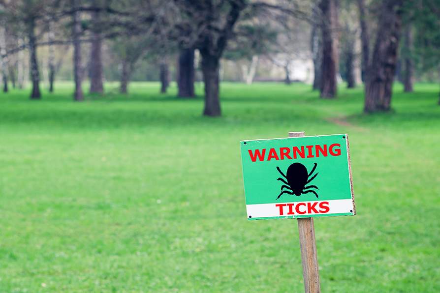 Western New York Kids are Eligible to Get a Lyme Disease Vaccine Through Pfizer Clinical Study; picture of a field with a sing that says "Warning, Ticks"