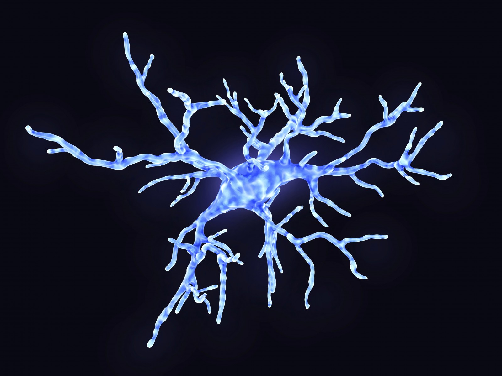 "Identifying the inflammatory cells behind chemo brain; Illustration of a microglial cell"