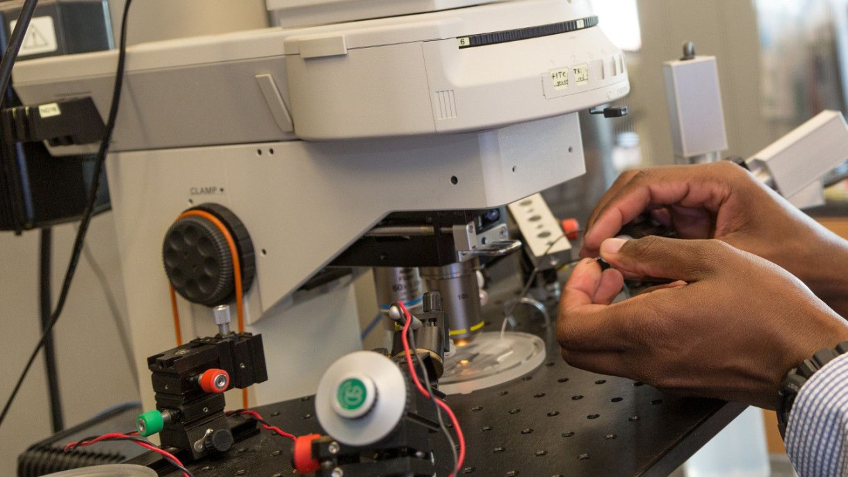 NIH grants extend programs at Brown focused on student diversity, success in Ph.D. science programs; Picture: Someone's hands working on electrica lwires