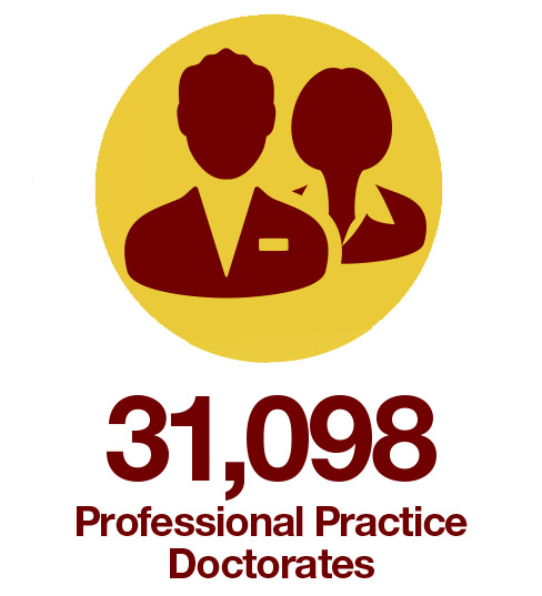 2024 professional practice doctorates