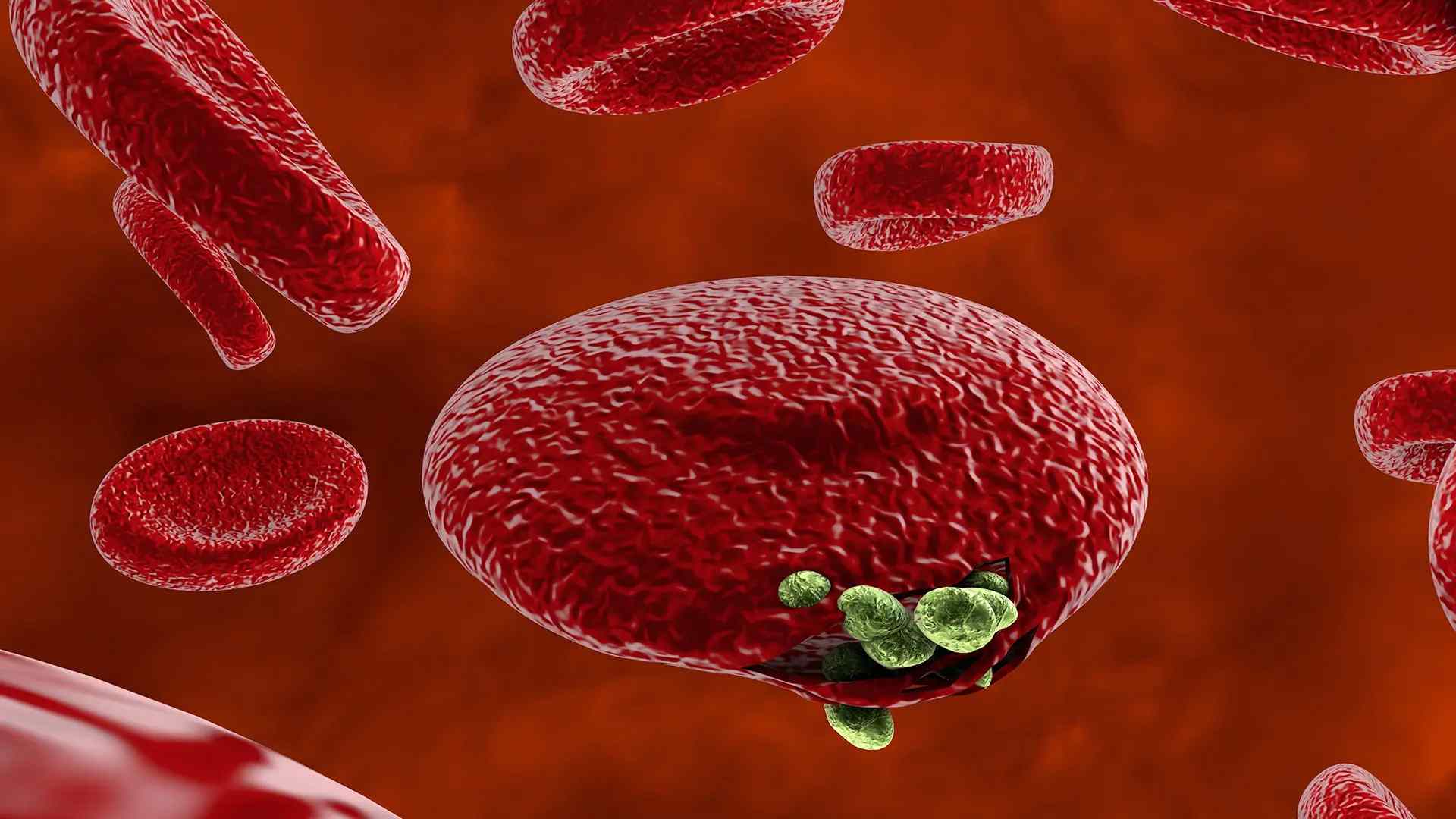 To Hunt for Better Malaria Vaccines, Researchers Turn to Machine Learning