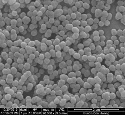 Micron-scale calcium silicate spheres
