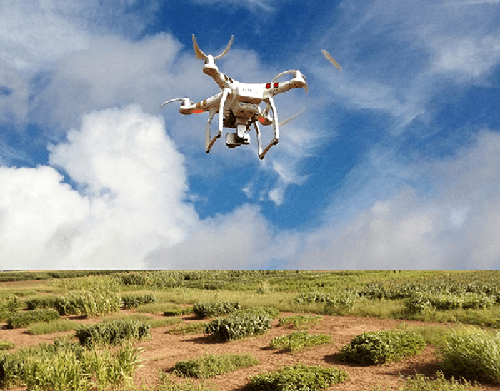 Drone over field