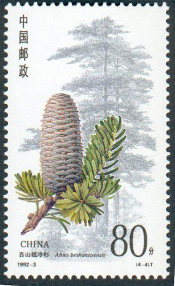 Image: A Chinese stamp honoring the critically endangered tree.