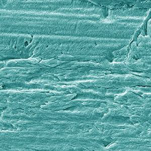 Synthetic tooth enamel