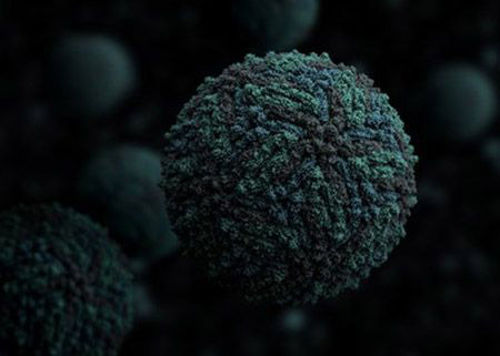 A three-dimensional representation of the Zika virus