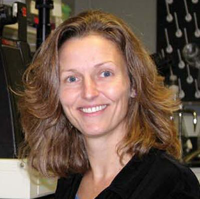 Laura McCabe