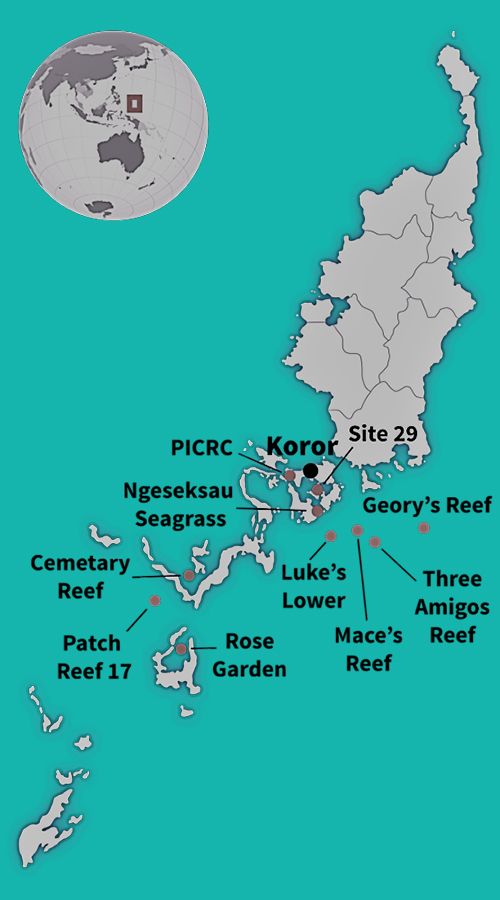 Palau map