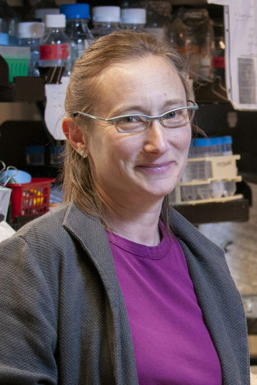Biology Professor Judith Frydman
