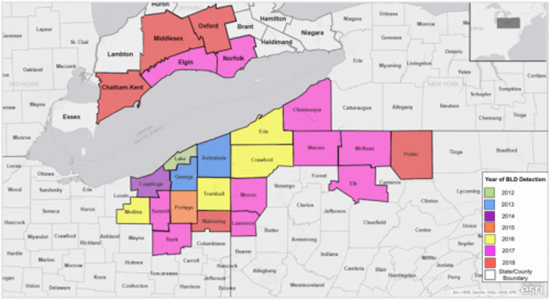 Counties in Ohio, Pennsylvania, New York and Ontario where beech leaf disease has been recorded.