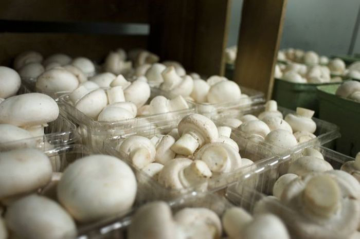 Mushrooms-in-Cellar-Market-700x465-compressor.jpg