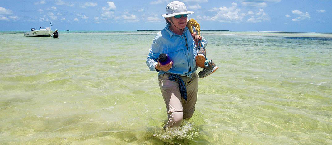 turtles-photo-eight-1075x470-compressor.jpg