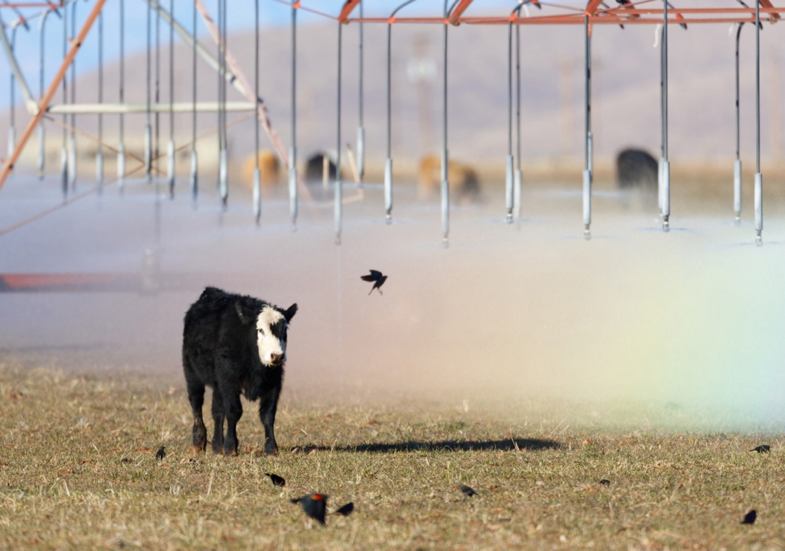 Experts Suggest Solutions to Encourage Food, Water and Economic Security in a Changing Climate