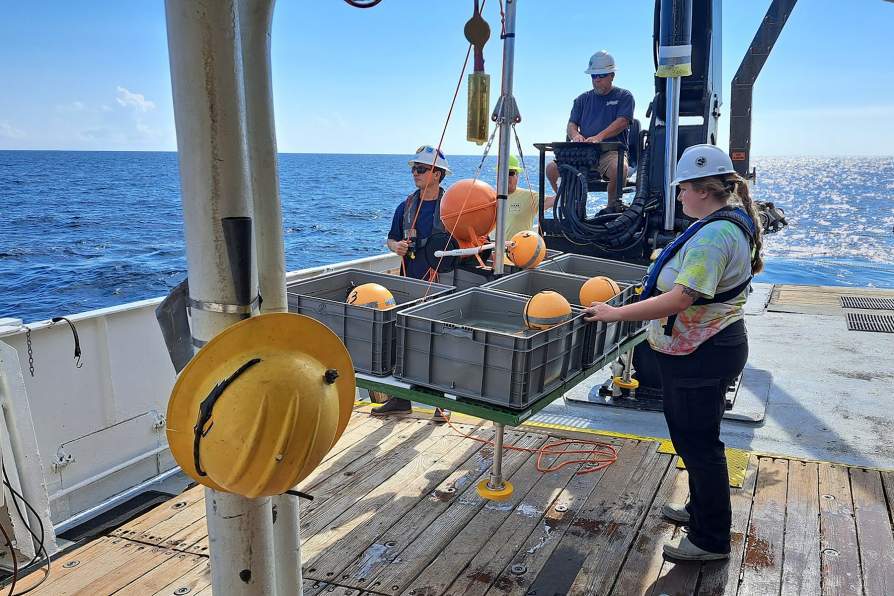 "For Coral Harmed by BP Oil Spill, a Deep-Sea ‘Elevator’ Offers Hope for Recovery"