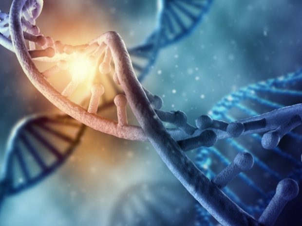 Gene Editing in Human Stem Cells and Neurons Reveals Links Between Genome Organization and Autism