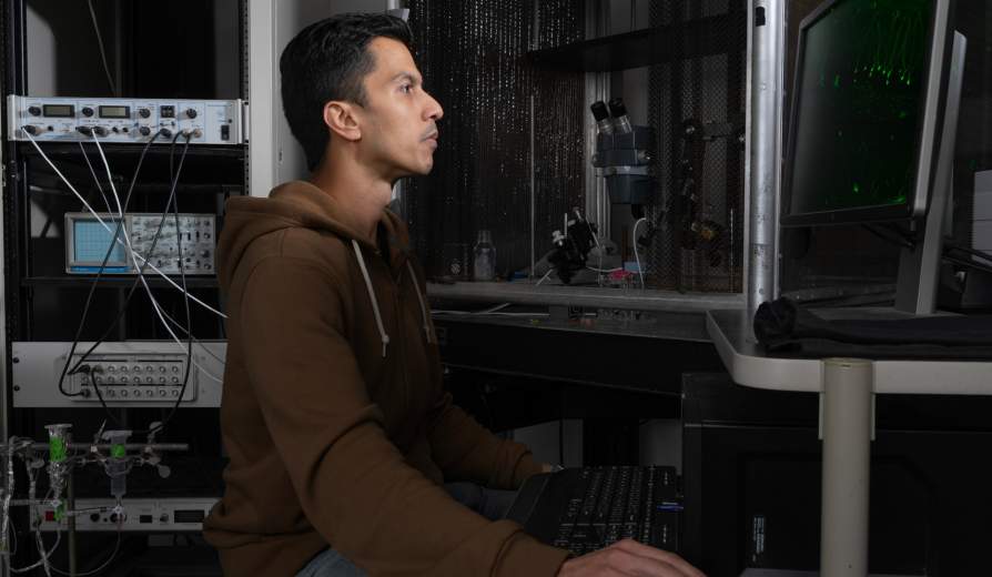Research Into the Nature of Memory Reveals How Cells That Store Information Are Stabilized Over Time
