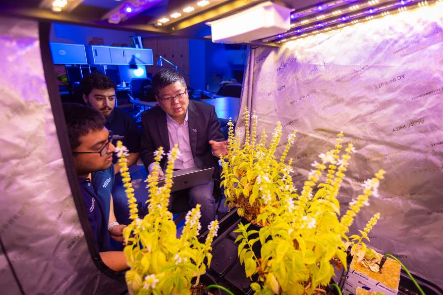 AI-Enhanced Indoor Farming Takes Root at the University at Buffalo