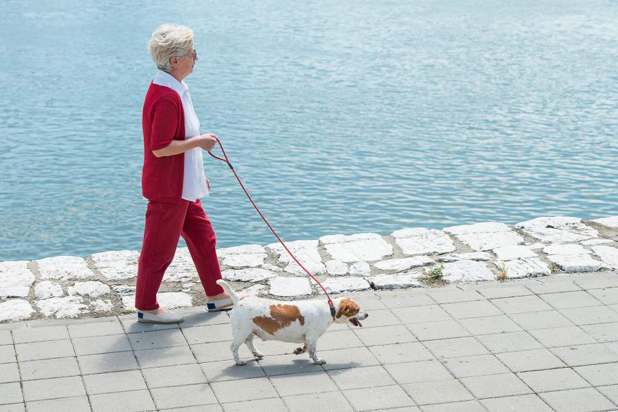 New Study Suggests Target Steps Per Day for Reduced Risk of Heart Failure