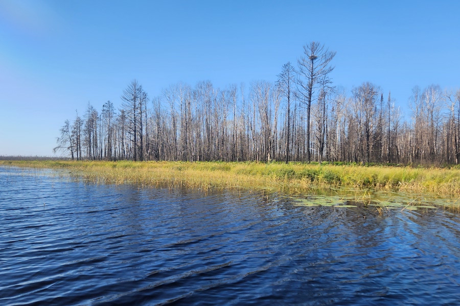 Wildfires Contribute to Nutrient-Rich, Murky Water in Lakes