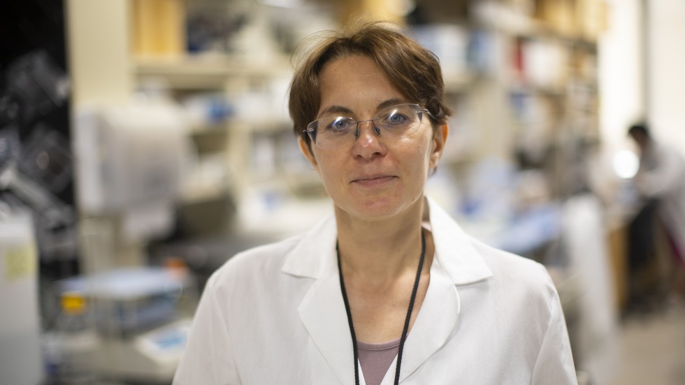 "Interrupted by War in Ukraine, Doctors Continue Work to Improve Cancer Treatment, at Brown"