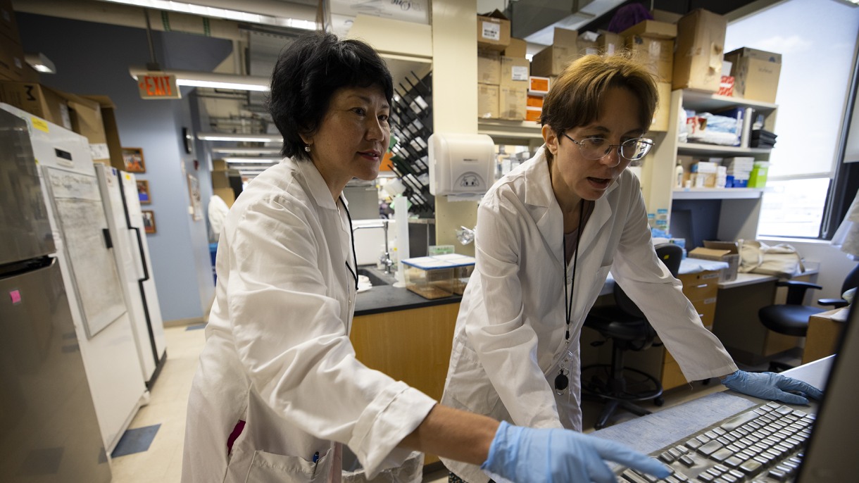 Interrupted by War in Ukraine, Doctors Continue Work to Improve Cancer Treatment, at Brown