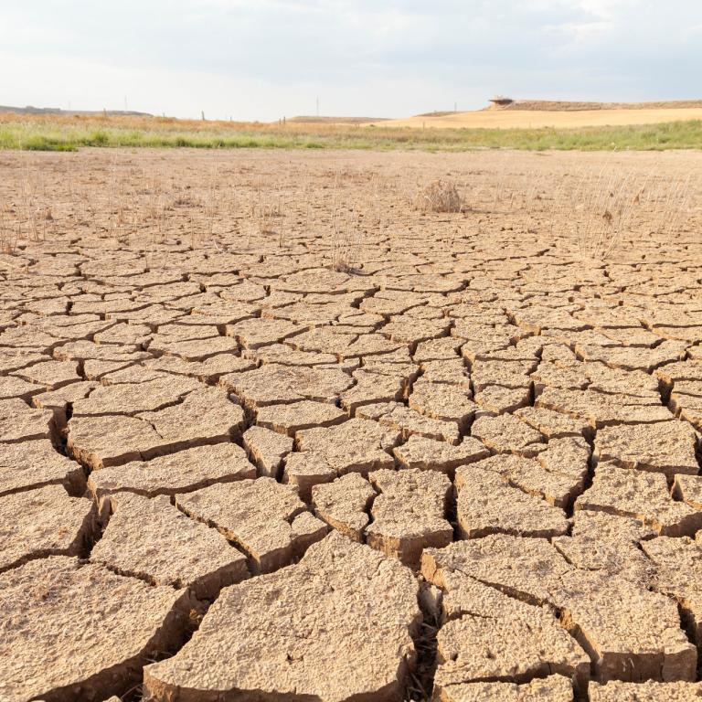 Soil May Release More Carbon than Expected, Affecting Climate Change Models