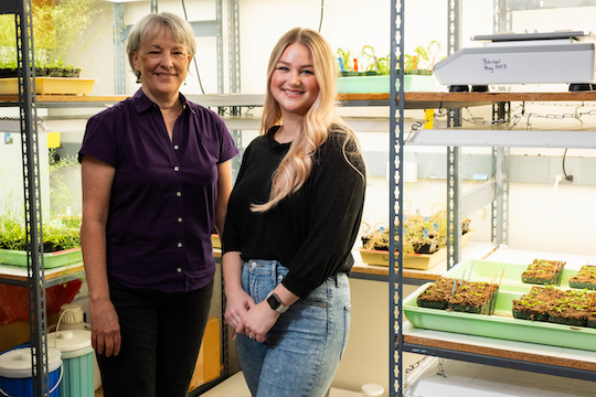 Cellular Process That Fuels Plant Growth Yields Surprising Insights
