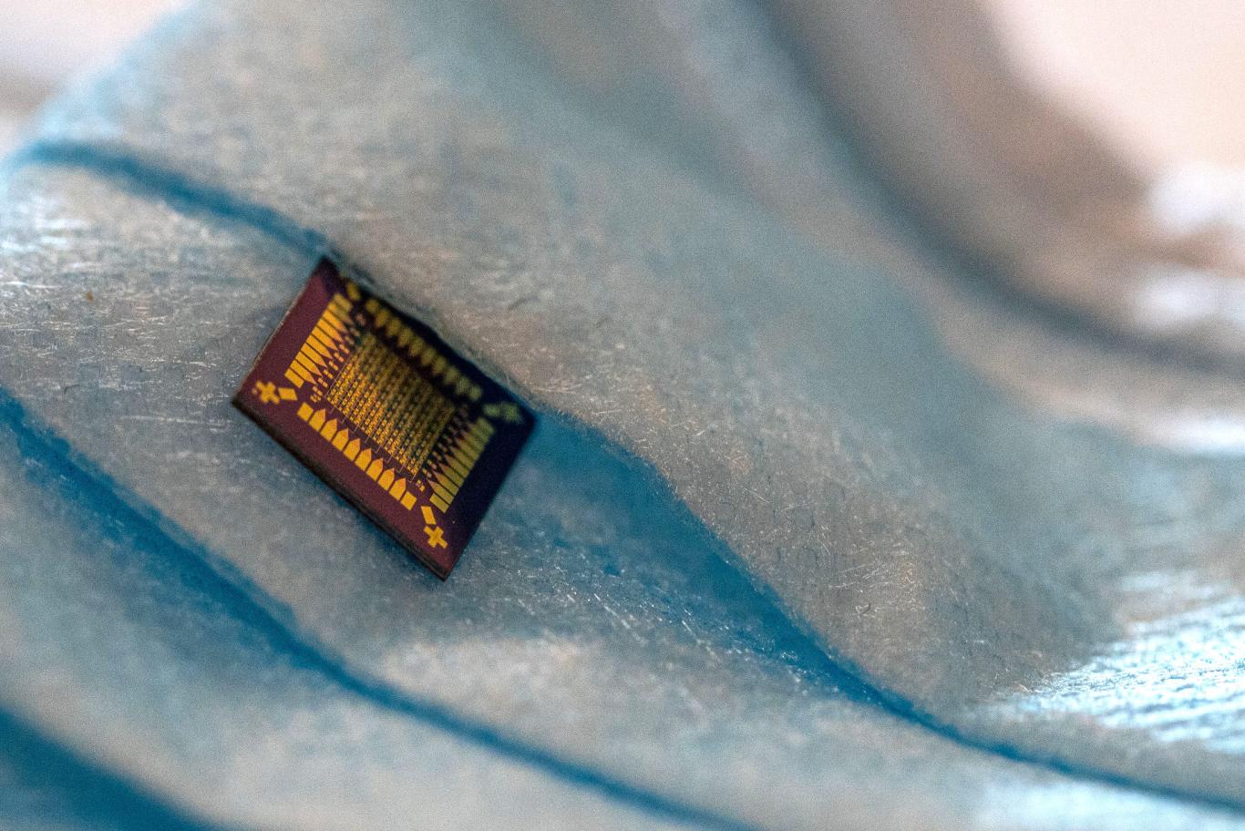 Hybrid Transistors with Silk Protein Set the Stage for Integration of Biology and Microelectronics