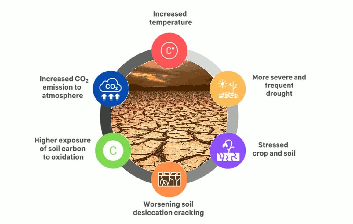 "Soil May Release More Carbon than Expected, Affecting Climate Change Models"