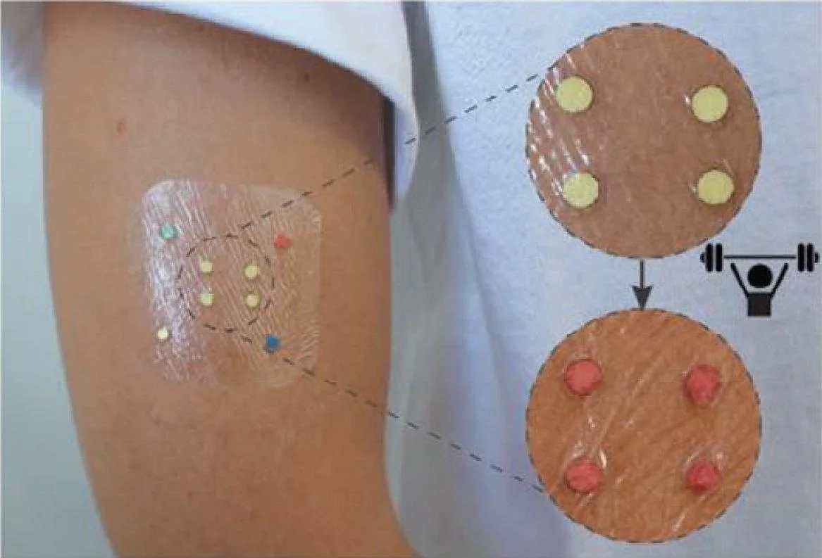 "Blood, Sweat, and Water: New Paper Analytical Devices Easily Track Health and Environment"