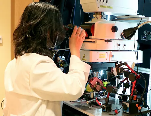 "NIH grant funds research center to find new addiction therapies"