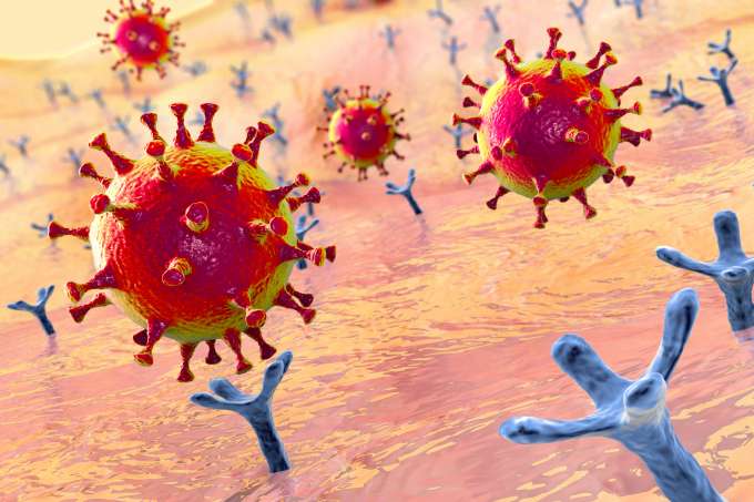 "This conceptual 3D illustration shows SARS-CoV-2, the virus that causes the disease COVID-19, binding to the ACE2 receptor. ©Dr_Microbe / Adobe Stock"