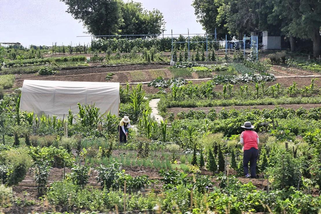 'A Lot of Hardship': Researcher Explores the Experiences of Women Who Are Seasonal Workers