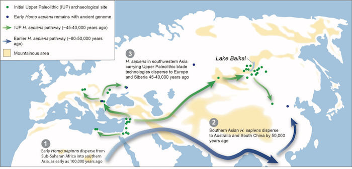 "Pollen Analysis Suggests Peopling of Siberia and Europe by Modern Humans Occurred During a Major Pleistocene Warming Spell"