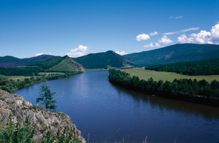 Pollen Analysis Suggests Peopling of Siberia and Europe by Modern Humans Occurred During a Major Pleistocene Warming Spell