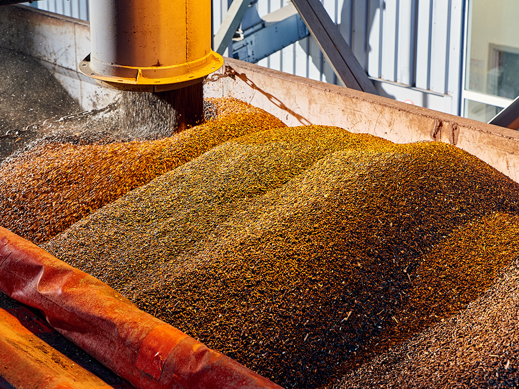 Carbon Emissions Reduction Through Industry Electrification