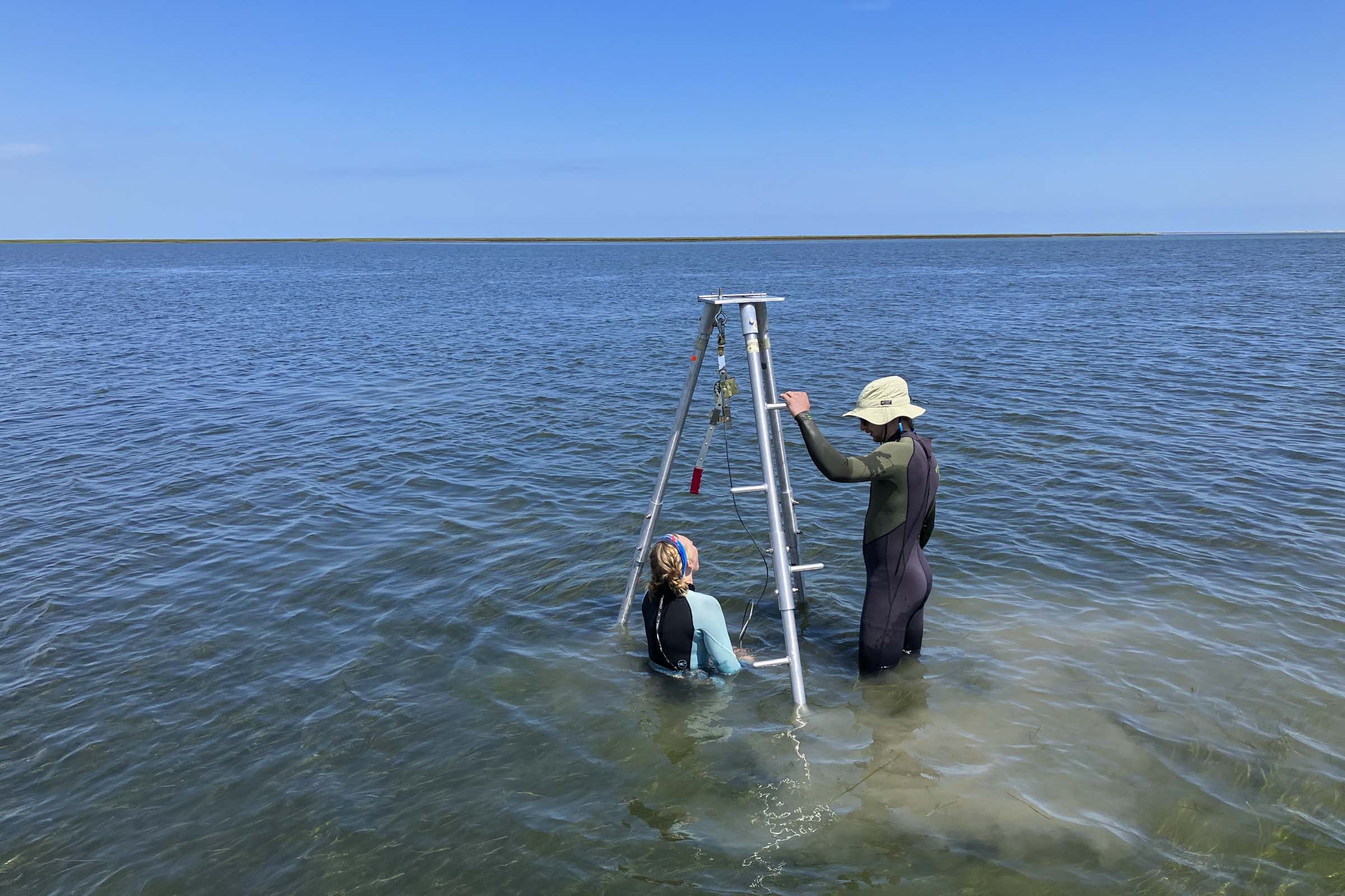 With UVA Discovery, We May Be One Good Solution Closer to Solving Climate Change