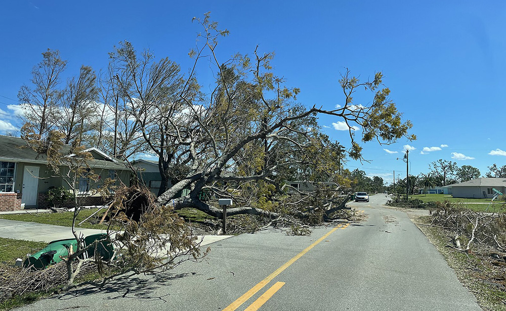 Study Shows Little Improvement in Mandated Disaster Plans Despite Required Updates