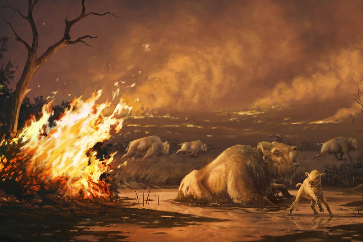 Human-Set Fires 13,000 Years Ago Led to Extinction of Megafauna in Southern California