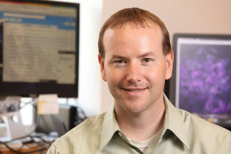 "Researchers Say Chemo Drug May Prevent Heart Failure"