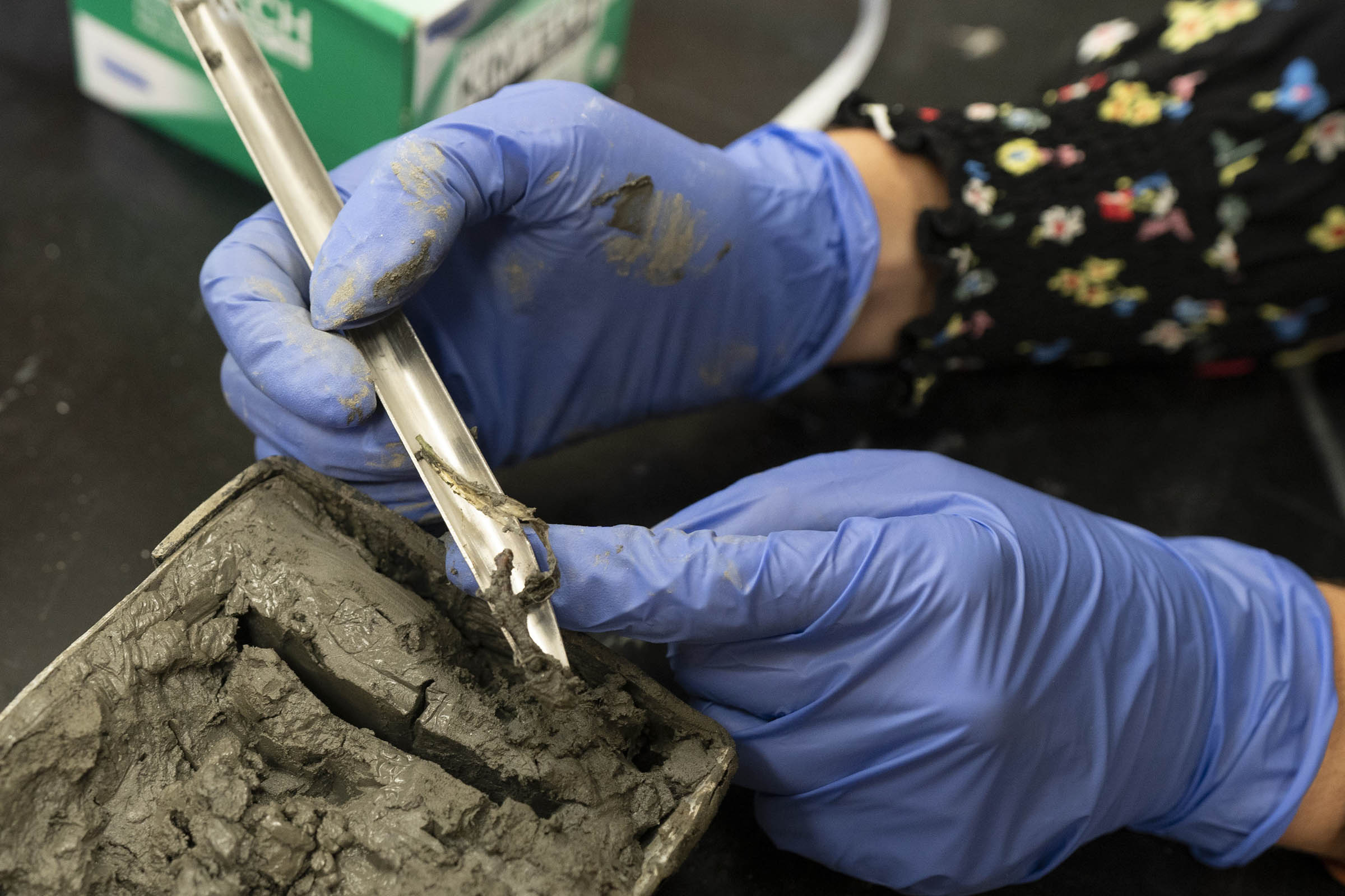 ""With UVA Discovery, We May Be One Good Solution Closer to Solving Climate Change