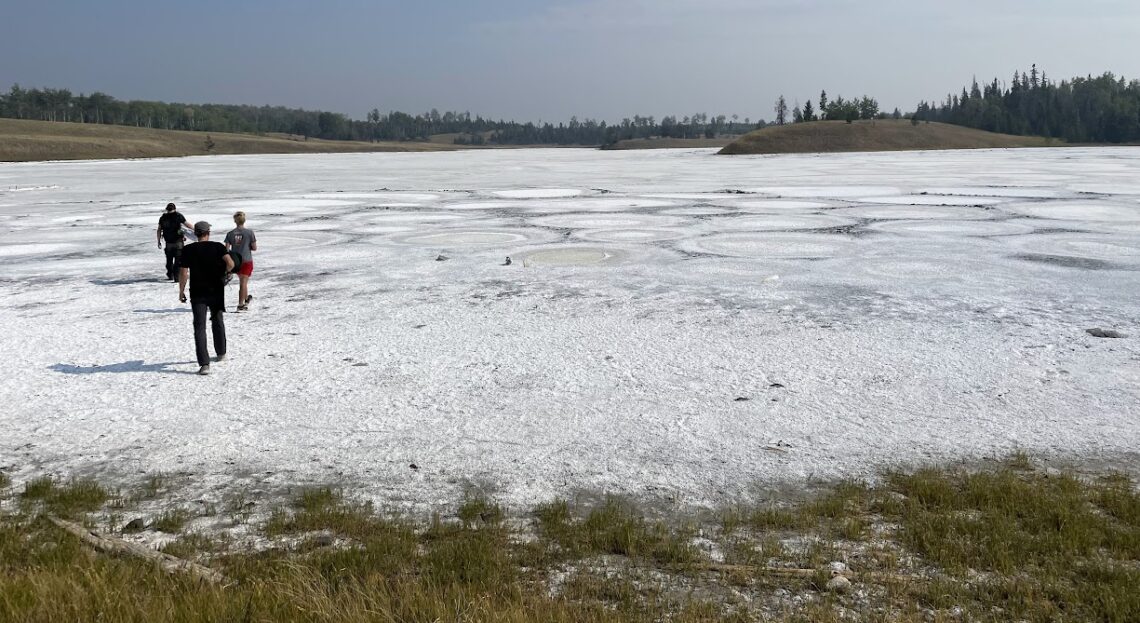Shallow Soda Lakes Show Promise as Cradles of Life on Earth