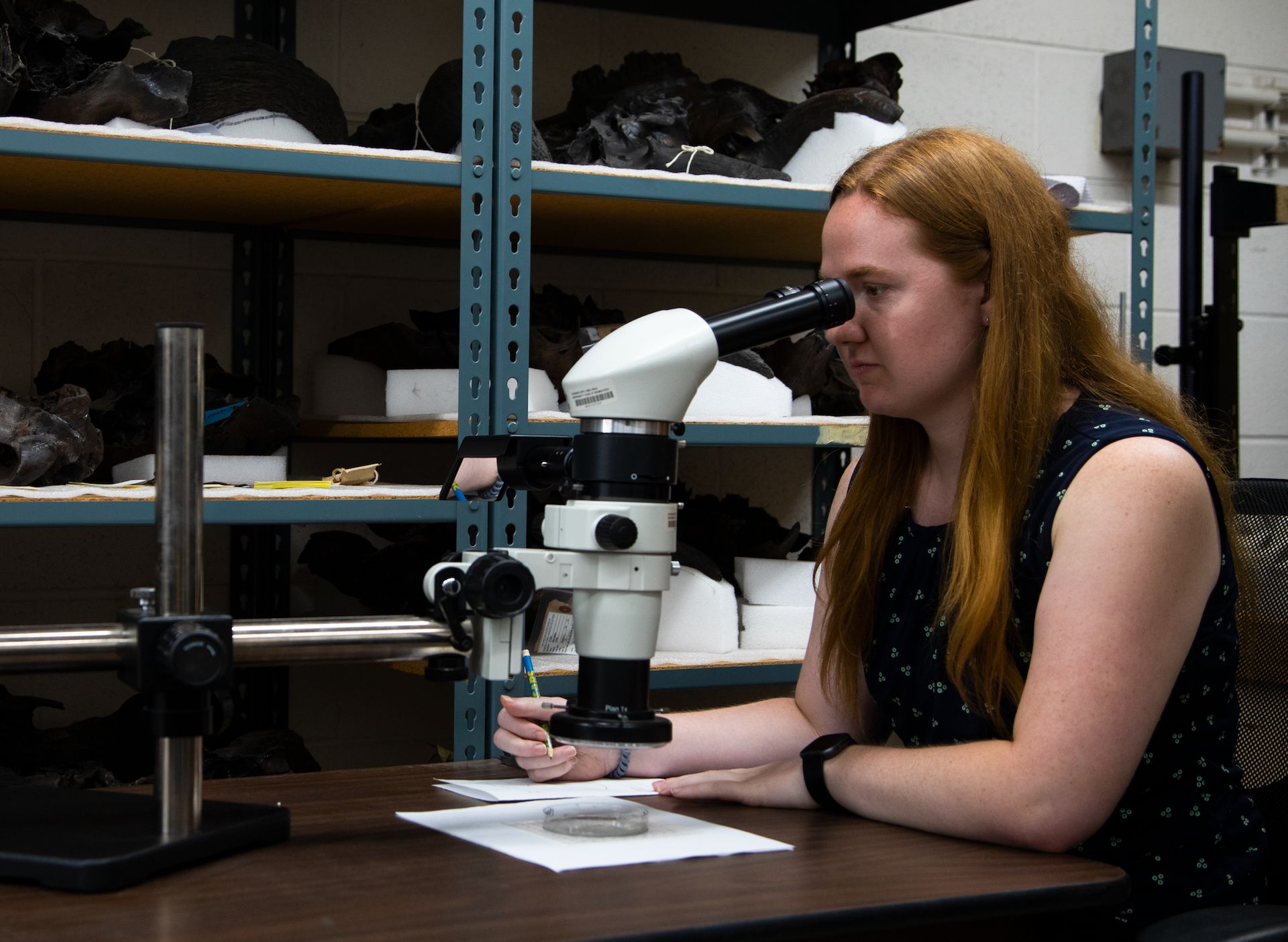 "Human-set fires 13,000 years ago led to extinction of megafauna in Southern California"
