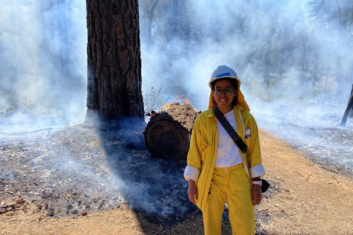 UC Irvine Scientists Reveal What Fuels Wildfires In Sierra Nevada Mountains