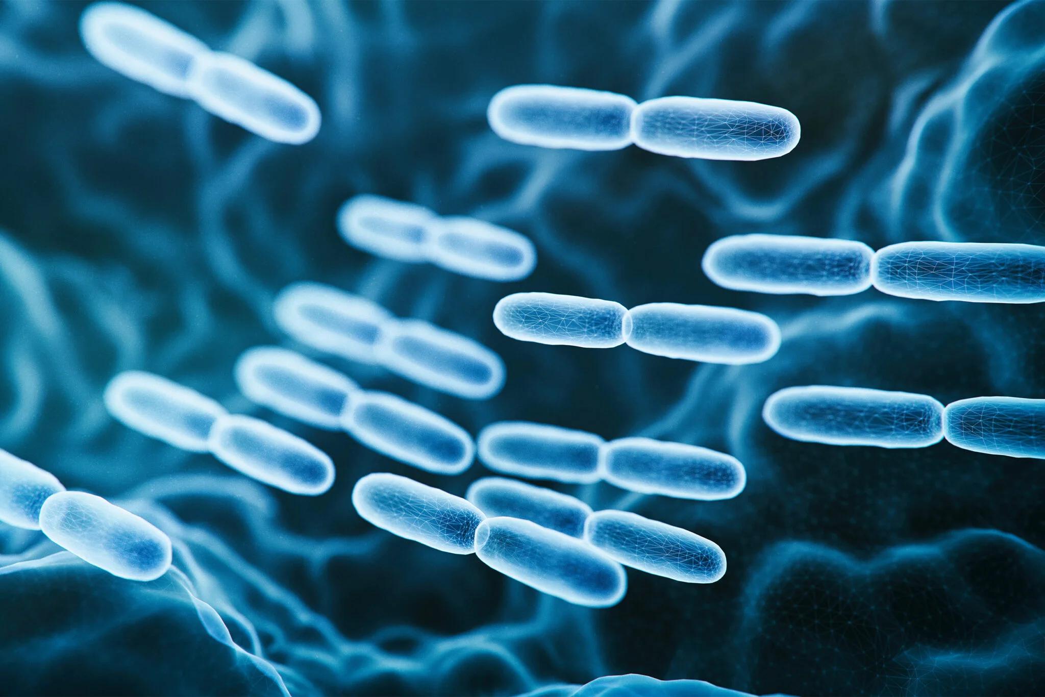 Engineered Probiotic Developed to Treat Multiple Sclerosis