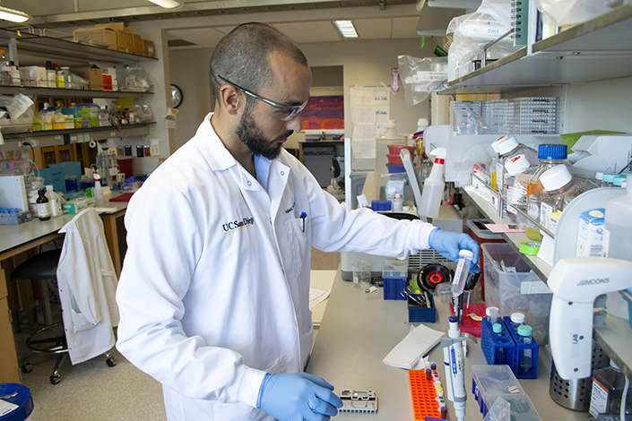 "Enhancing Immune Defenses: Researchers Unveil the Secrets of Specialized T Cells to Conquer Tumors"
