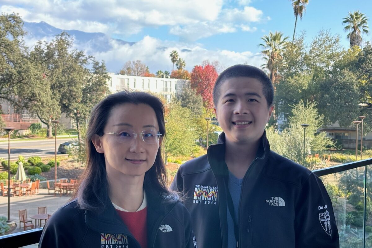 USC Stem Cell Study Shows How Gene Activity Modulates the Amount of Immune Cell Production in Mice