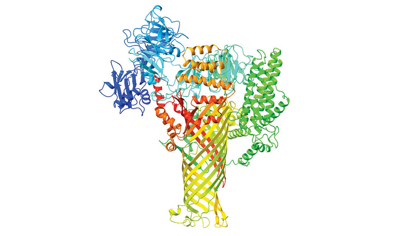 "Mysterious Family of Microbial Proteins Hijack Crops’ Cellular Plumbing"